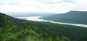 โครงการปลูกป่า ประดู่พระราชทาน สู่ป่า 1 ล้านไร่